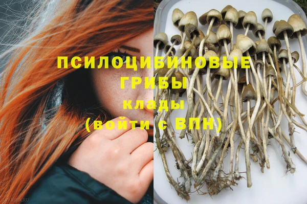 тгк Коряжма