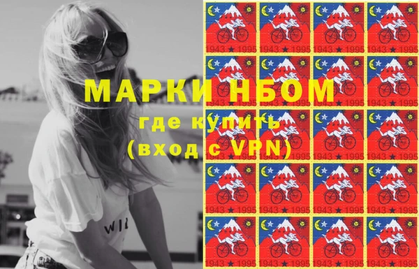 сатива Зерноград
