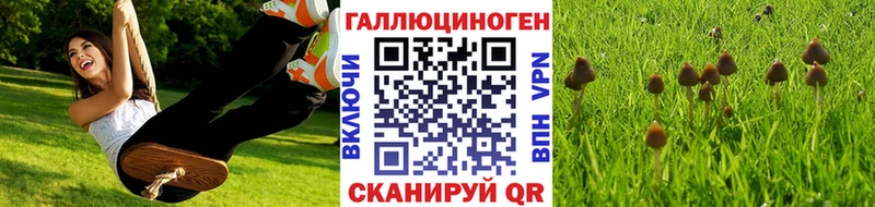 Псилоцибиновые грибы ЛСД Сковородино