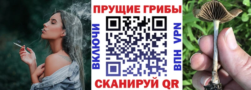 Галлюциногенные грибы Cubensis  kraken вход  Сковородино 